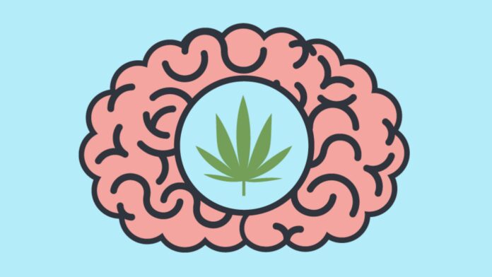 Medical Marijuanas for Mental Health - Key Insights and Considerations