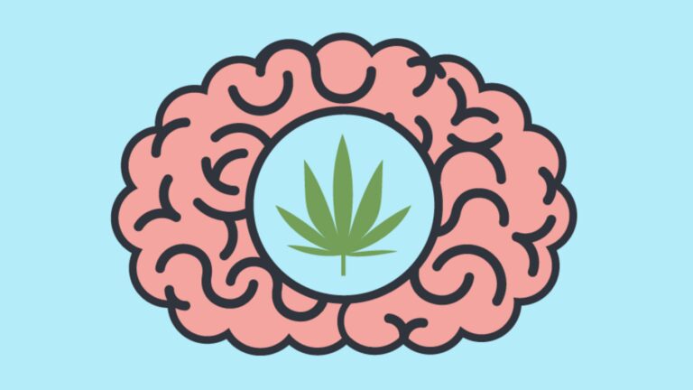 Medical Marijuanas for Mental Health: Key Insights and Considerations