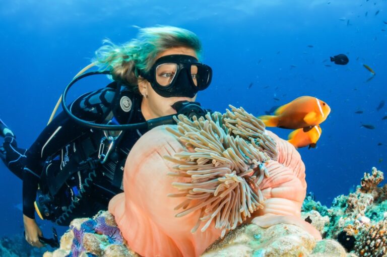 Snorkeling vs. Scuba Diving ─ Which Underwater Adventure Suits You Best?