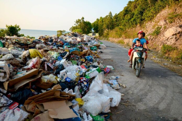 Environmental Impact of Single-Use Plastics