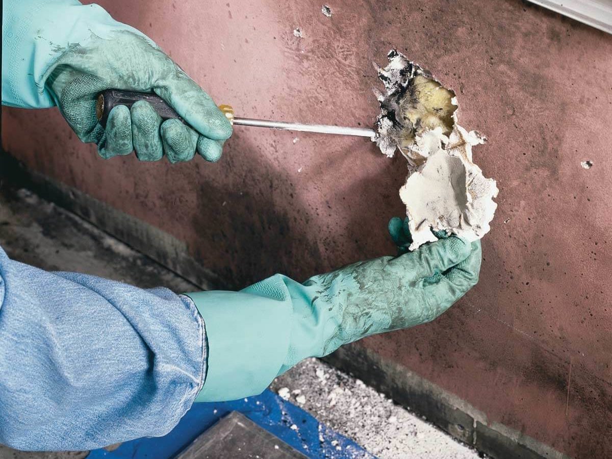 How Long Does Mold Testing Take? Tips for a Swift and Accurate ...