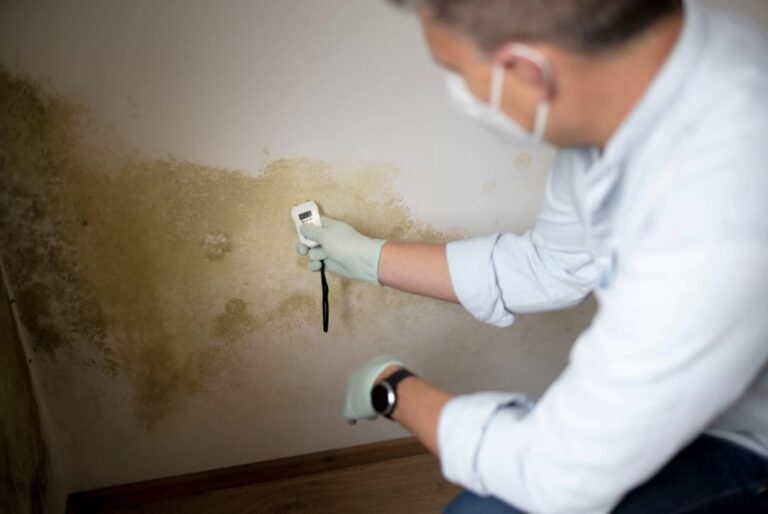 How Long Does Mold Testing Take? Tips for a Swift and Accurate Assessment