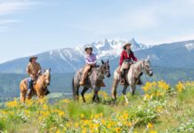 Exploring Horseback Riding in the Mountains