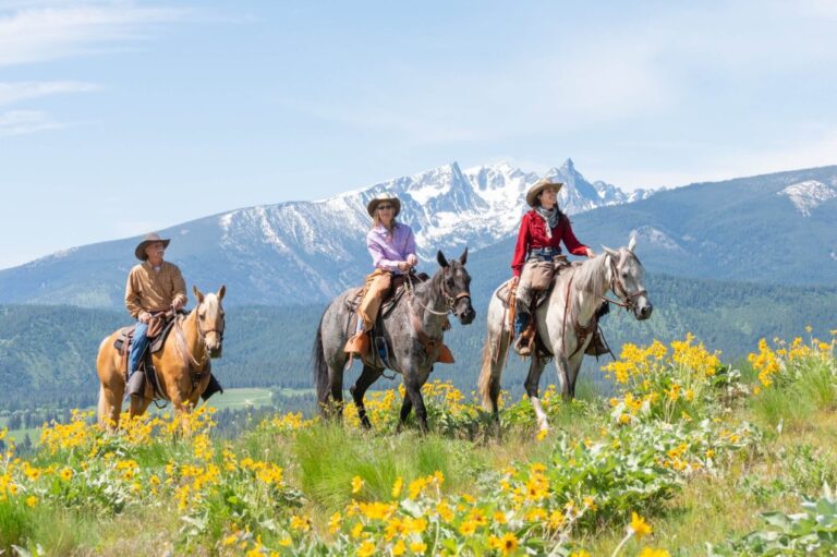 Exploring Horseback Riding in the Mountains