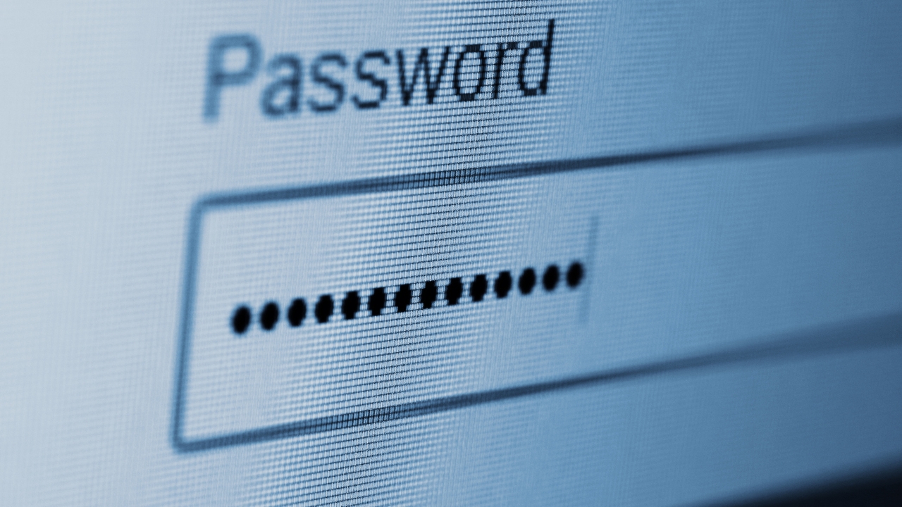 Password entry field displayed on a login screen